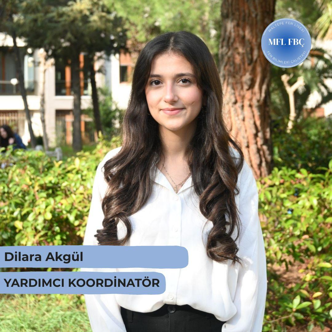 Yardımcı Koordinatör